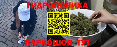 мяу мяу мука Тара