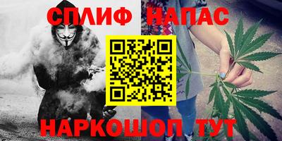 мяу мяу мука Тара
