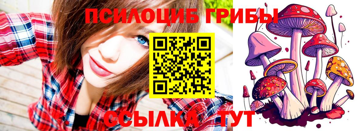 Нижнекамск  Псилоцибиновые грибы ЛСД  Галлюциногенные грибы Cubensis  Вход с VPN 